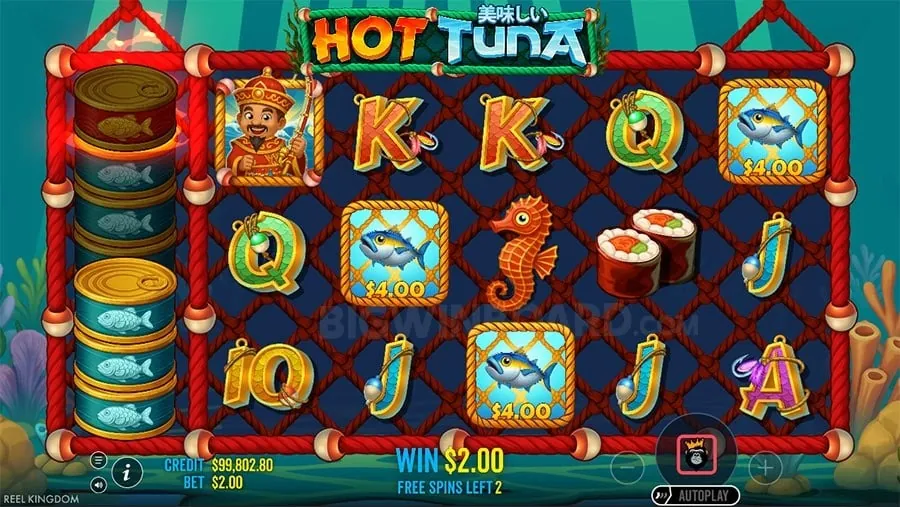 8k8 login How Slot Machines Work